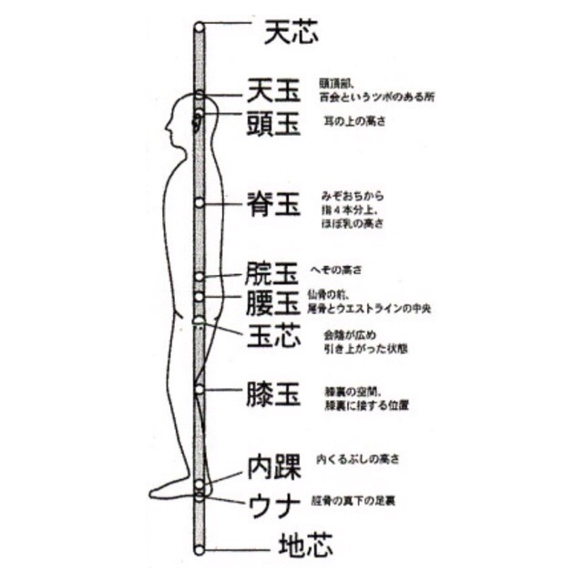 センター・体軸 治療家パーソナルトレーナー柴雅仁のブログ 横浜/鶴見/川崎/蒲田