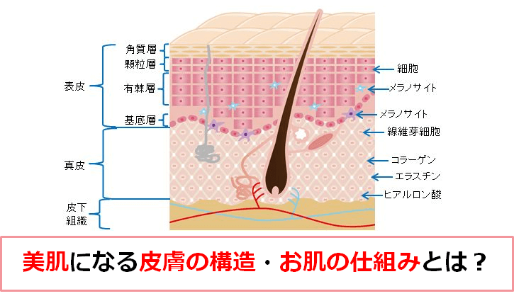 老化 Fika エナジーチャージ 肌トラブル専用サロン