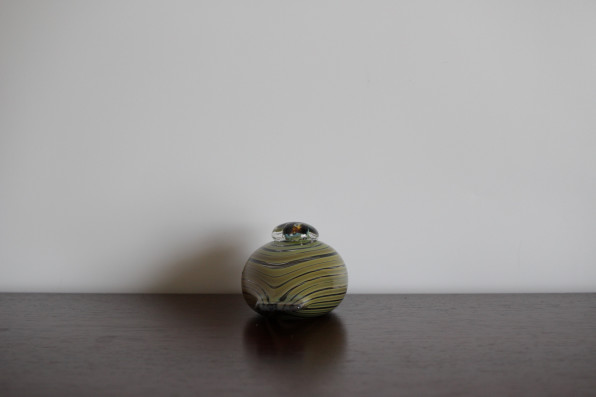 Whip Poor Will | Pajusotka | ヨタカ | Vintage Bird Collection