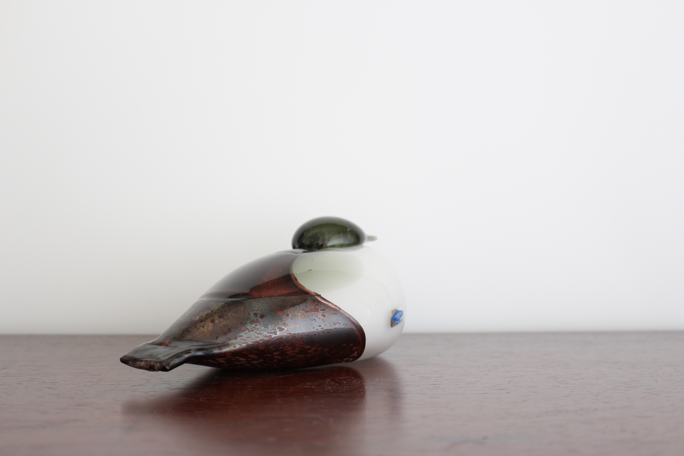 Haahka ❘ Eider ❘ ケワタガモ | Vintage Bird Collection