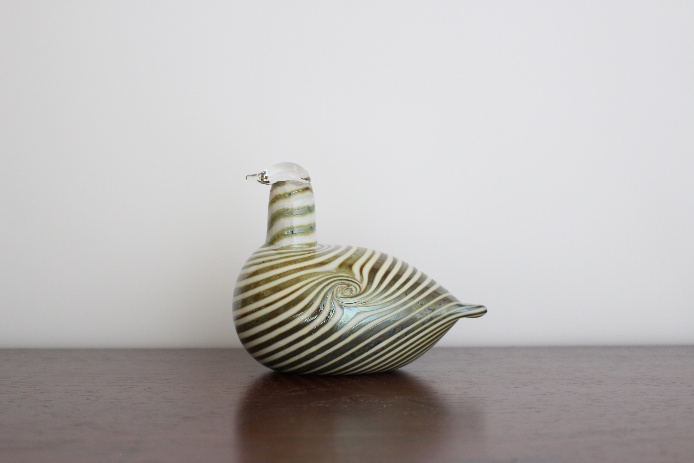 Long tailed duck ❘ Alli ❘ コオリガモ | Vintage Bird Collection