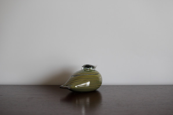 Whip Poor Will | Pajusotka | ヨタカ | Vintage Bird Collection