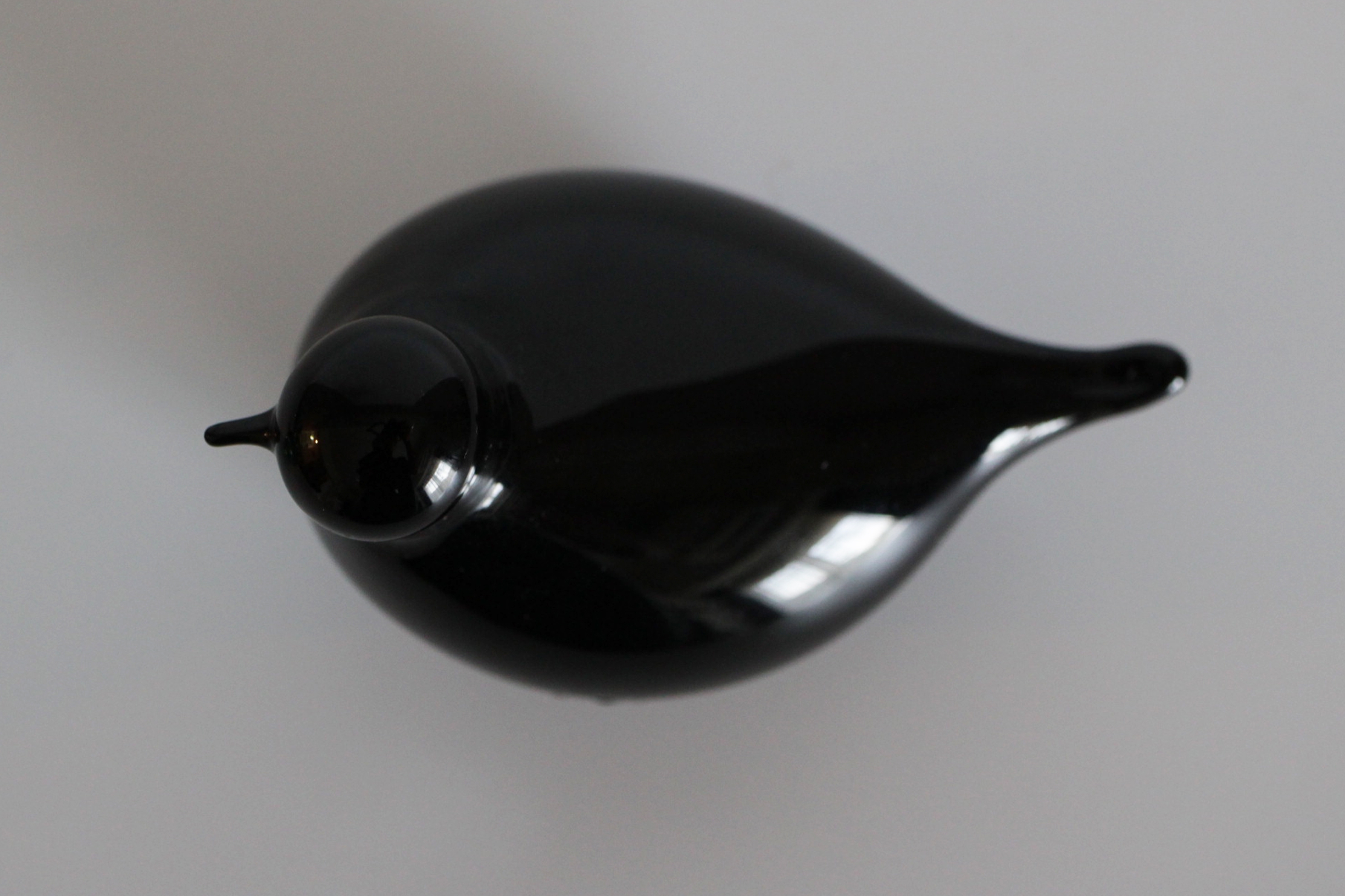 Pulmu Black | Snow Bunting | ユキホオジロ | Vintage Bird