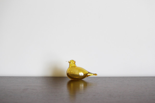 Little Tern（yellow） | Tirrit | リトルターン | Vintage Bird 