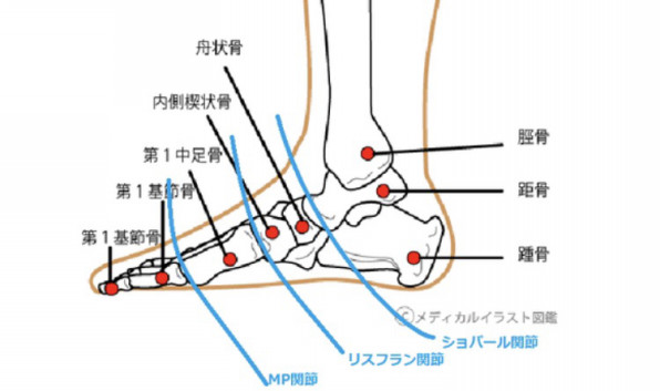 足の甲の重要性を知っていますか 丹野整体室 横浜院 メディア多数出演 いま注目の整体室 横浜駅きた西口徒歩3分 神奈川駅徒歩2分 反町駅徒歩7分