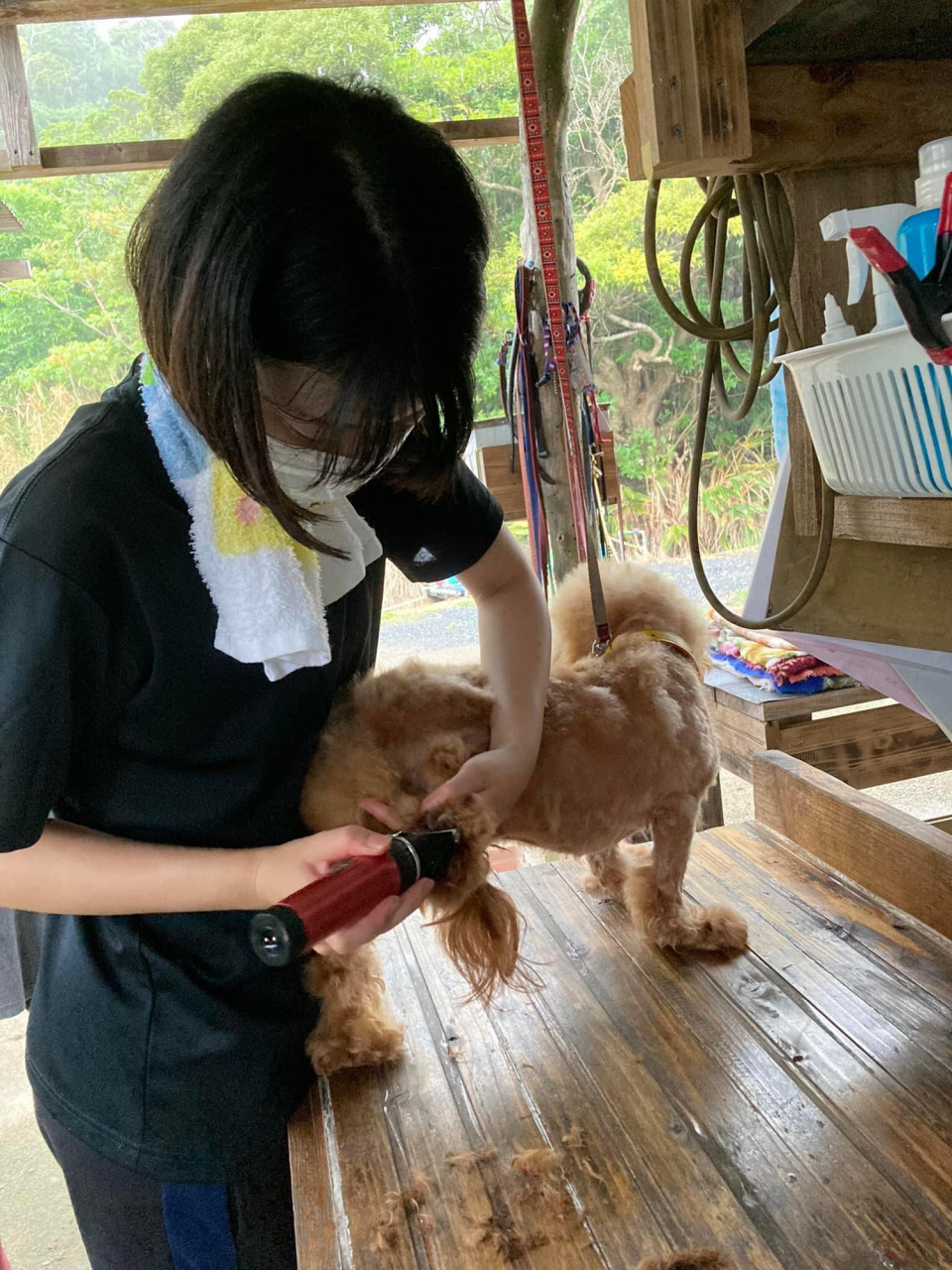 7月27日 活動報告 Usa Official Web Site