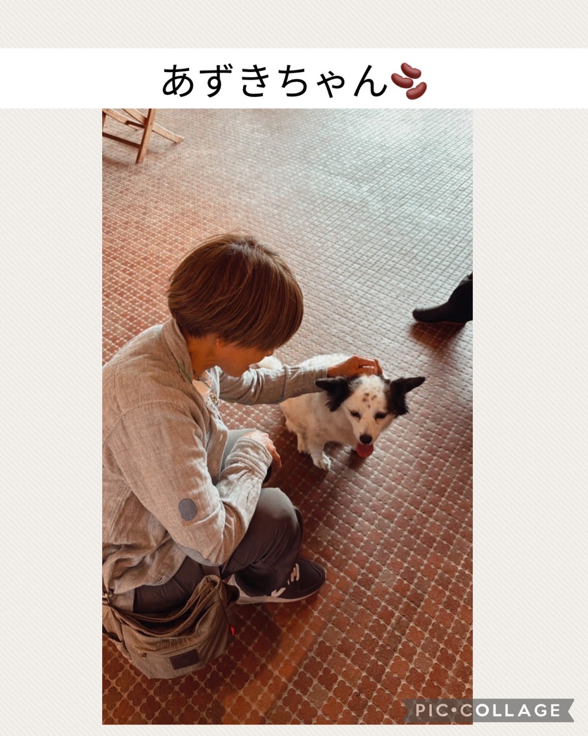 紗栄子】ファームで保護猫活動を開始 フォロワーから応援の