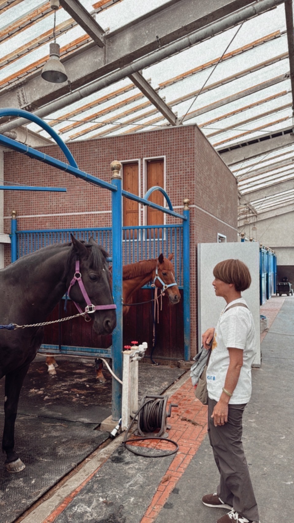 🐴NASU FARM VILLAGEに行き、紗栄子さんとお会いしました