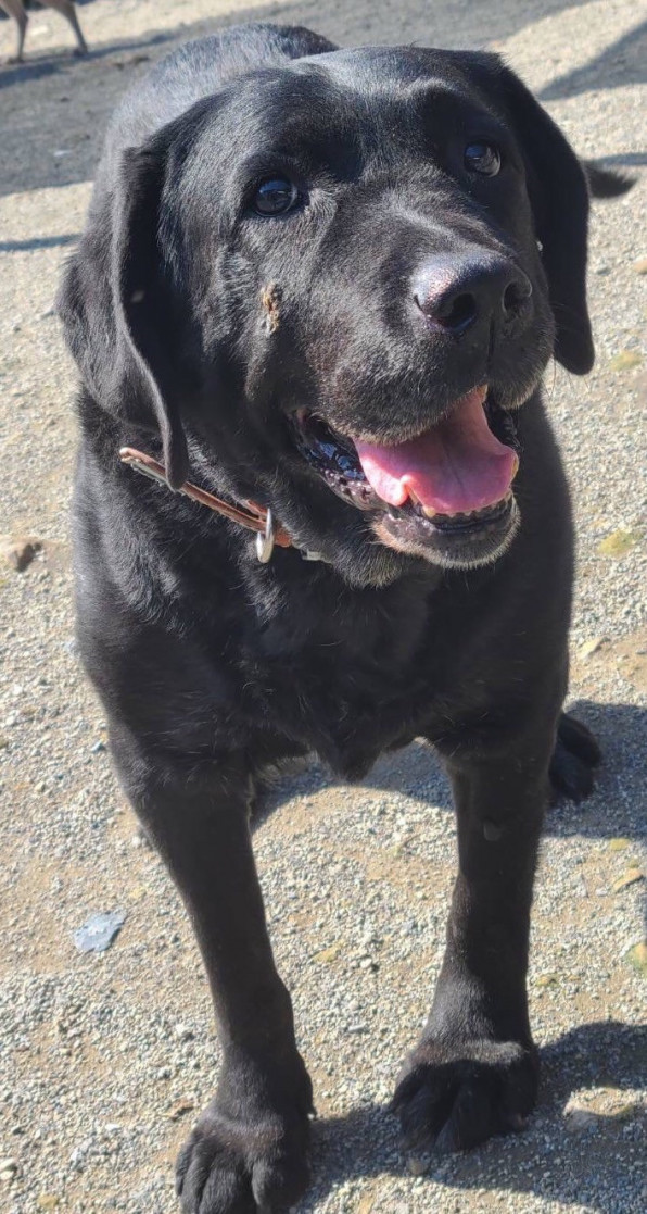 7月27日 活動報告 Usa Official Web Site