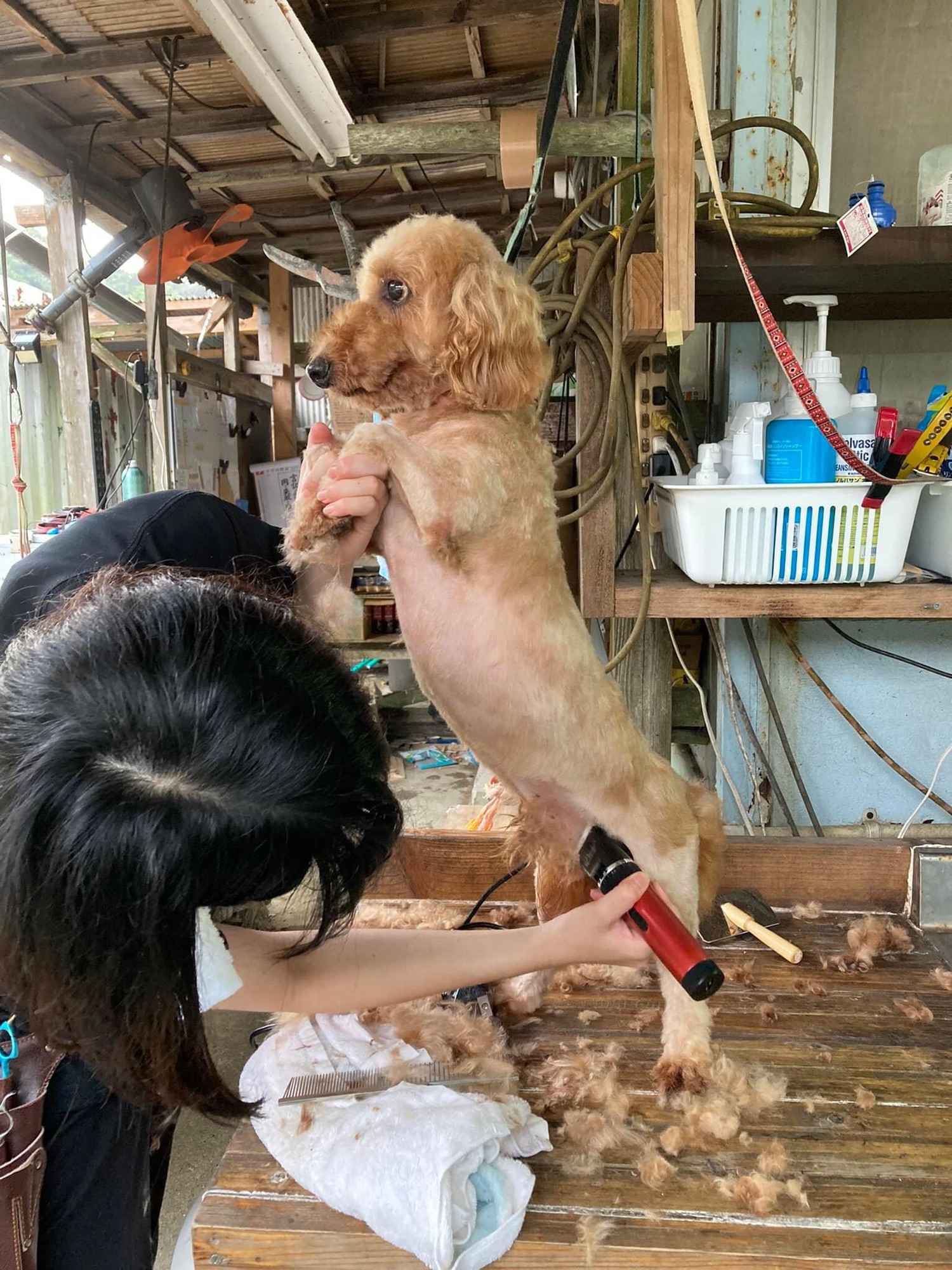 7月27日 活動報告 Usa Official Web Site