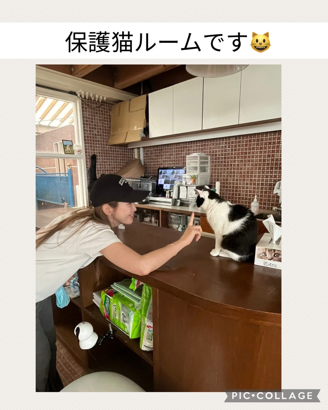 紗栄子】ファームで保護猫活動を開始 フォロワーから応援の