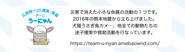 チームうーにゃん Usa Official Web Site チームうーにゃん Usa Official Web Site