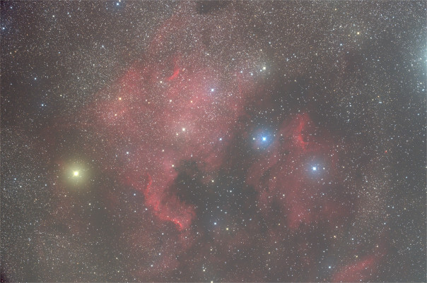 はくちょう座 Ngc7000 北アメリカ星雲 Ic5067 ペリカン星雲 よなご星の会 星星 Hoshi Boshi はくちょう座 Ngc7000 北アメリカ星雲 Ic5067 ペリカン星雲 よなご星の会 星星 Hoshi Boshi
