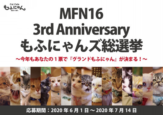 お知らせ 第3回もふにゃん総選挙 店頭投票開始 猫カフェもふにゃん