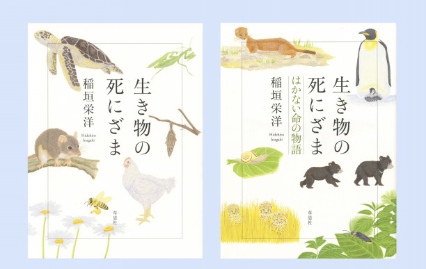 生き物の死にざま はかない命の物語 草思社 Vogue Blog 生き物の死にざま はかない命の物語 草思社 Vogue Blog