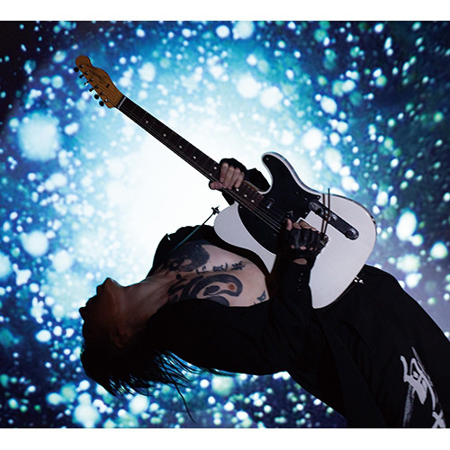 すべての花の画像 最高壁紙 Miyavi 画像