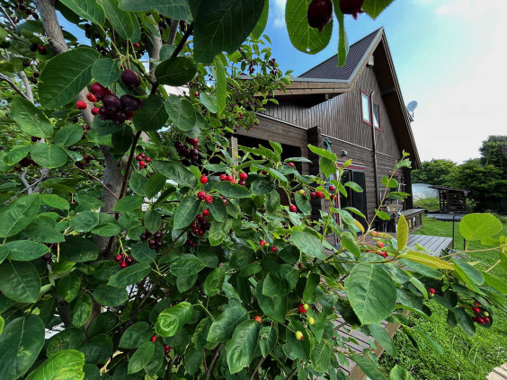 ベリー Berry Hikoshima Base ベリー Berry Hikoshima Base