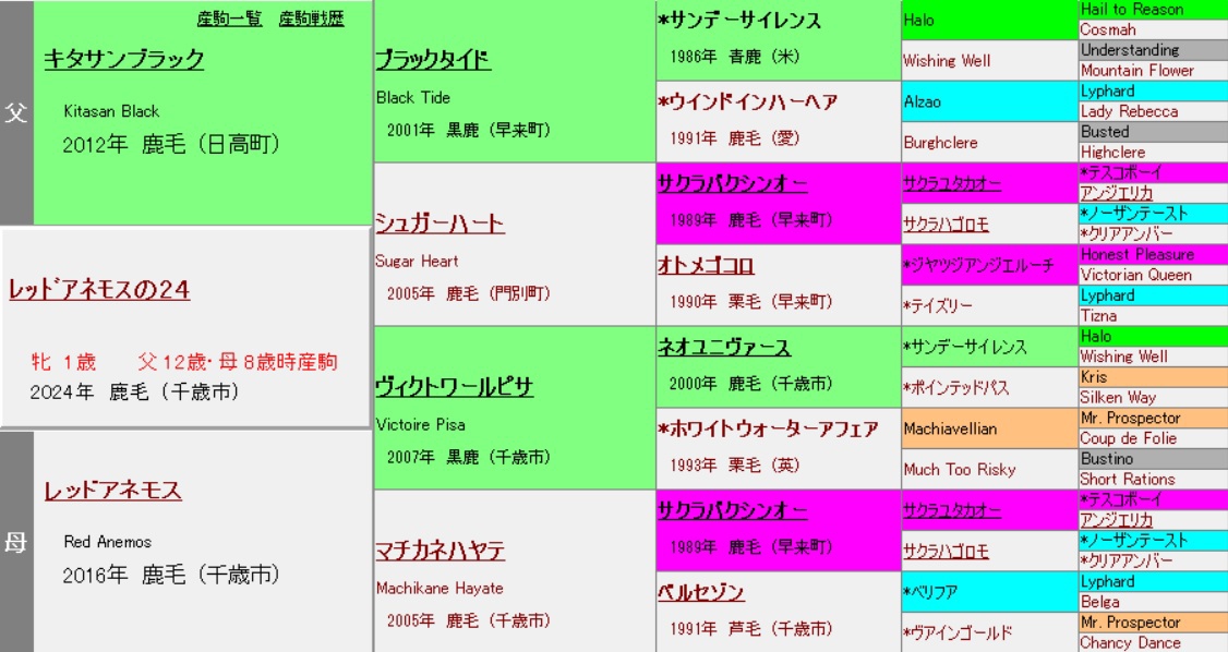 血統注目馬10選】社台サラブレッドクラブ 2025年度募集 | 元美浦