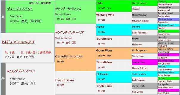 キャロットクラブ 1歳馬考察 ヒルダズパッションの17 元美浦トラックマンの競馬血統ブログ