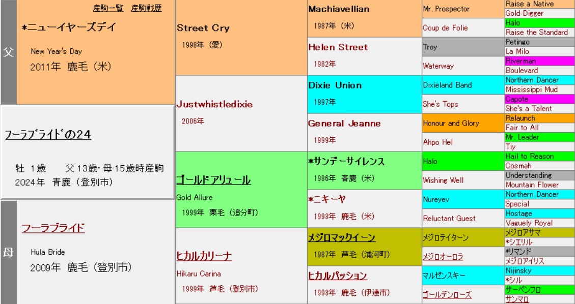 血統注目馬10選】社台サラブレッドクラブ 2025年度募集 | 元美浦