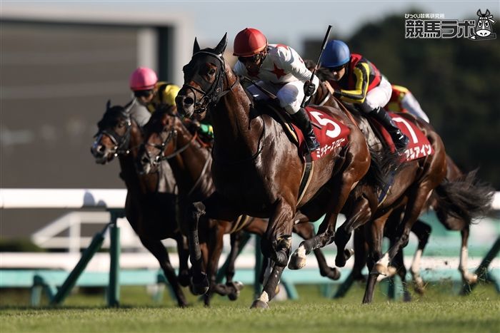 3歳春のクラシック組はレベルが低い 元美浦トラックマンの競馬血統ブログ