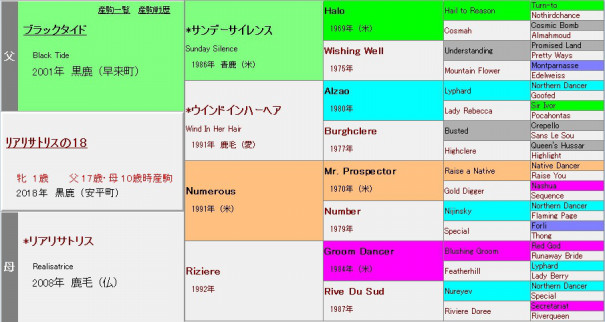 リアリサトリスの18 サンデーレーシングクラブ 19年度募集 元美浦トラックマンの競馬血統ブログ