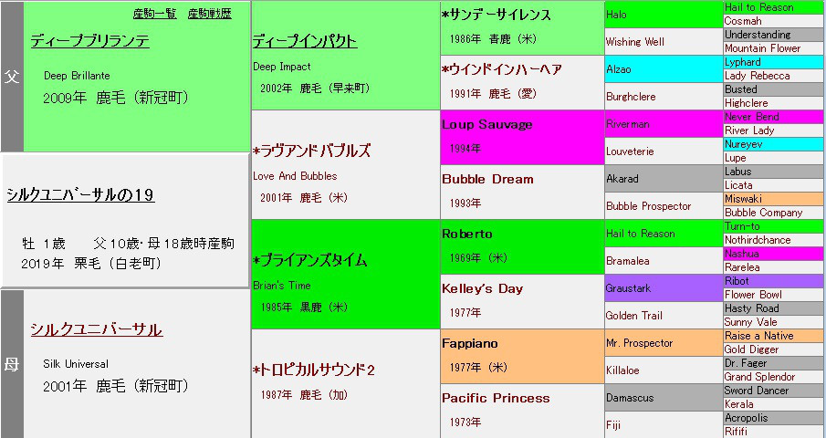 シルクユニバーサルの19 シルクホースクラブ 年度募集 元美浦トラックマンの競馬血統ブログ