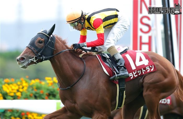 3歳春のクラシック組はレベルが低い 元美浦トラックマンの競馬血統ブログ