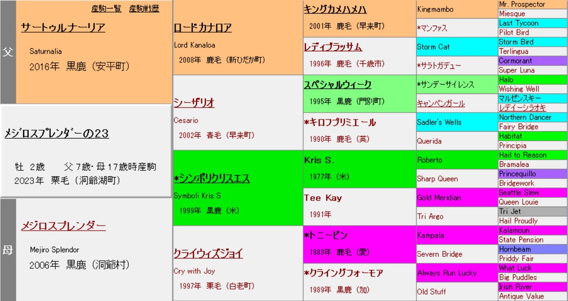 クラッシック馬の追求　競走馬の血統パターン カオスな時代の血統馬券! 新・種牡馬キャラ (革命競馬) | 本島修司 |本