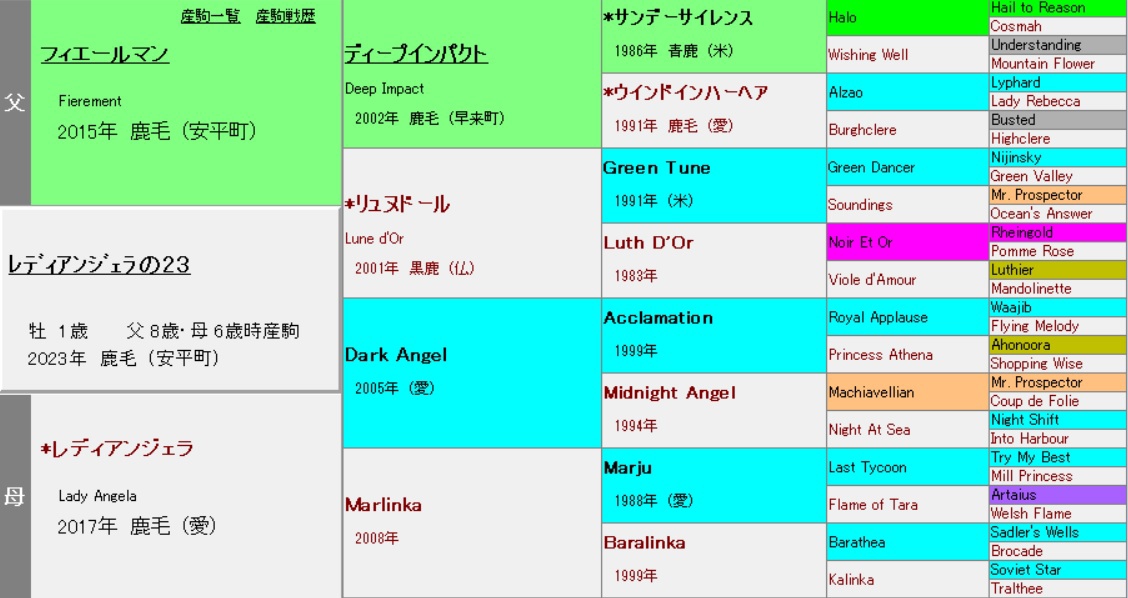 【希少】スタリオン・レヴュー 1989 vol.17 サラブレッド血統センター e842853f6833a2bff01271cdf5d099