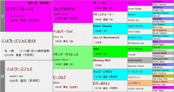 ジュピターズジャズの19 シルクホースクラブ 年度募集 元美浦トラックマンの競馬血統ブログ