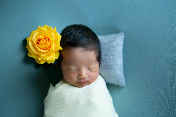 Photo Art Peco フォトアートペコ