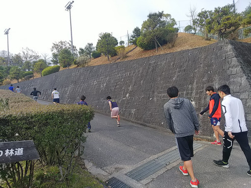 写真集 帝塚山大学レスリング部公式ウェブサイト