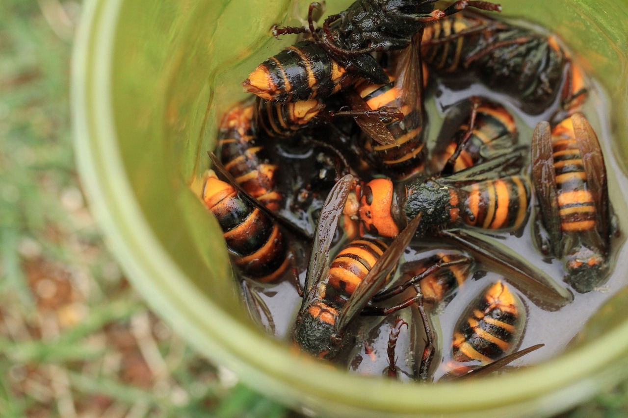 68532f22050d1787423ca7ecfd9236