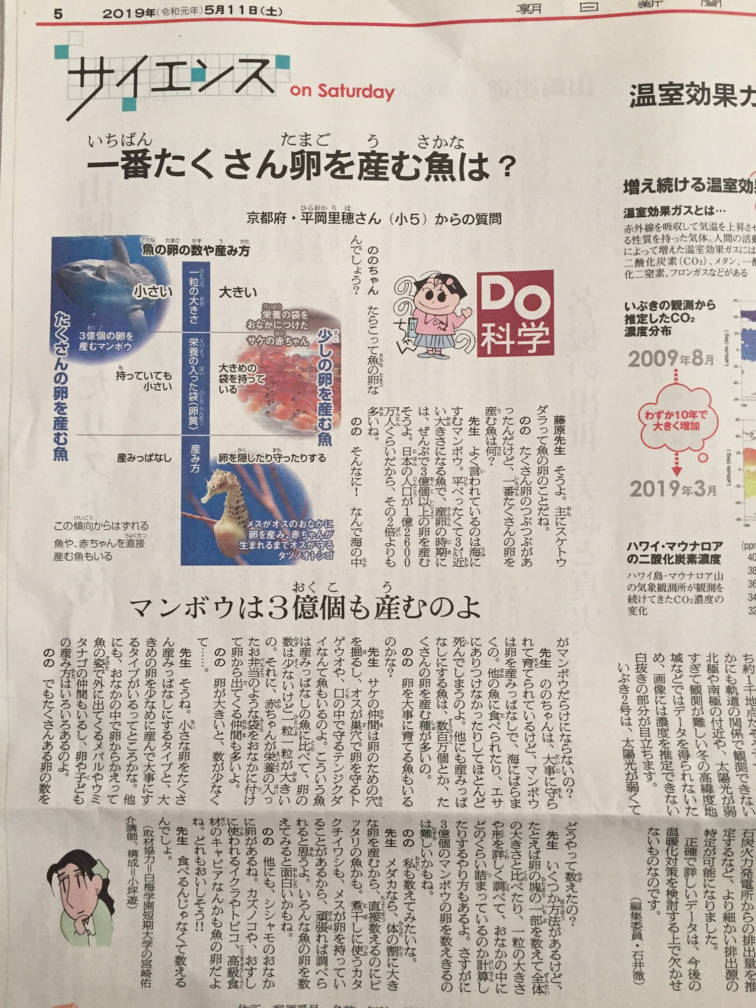 マンボウは数千万個の卵を産む Eccジュニアゆりが丘教室