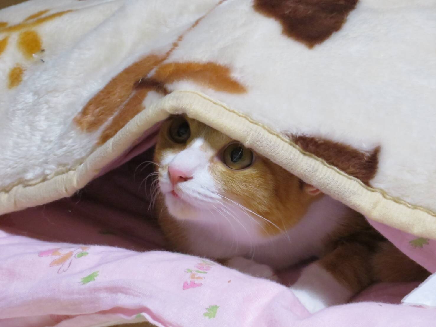 Nanami様のお部屋 Profile | ななみのお部屋/Nanami's room