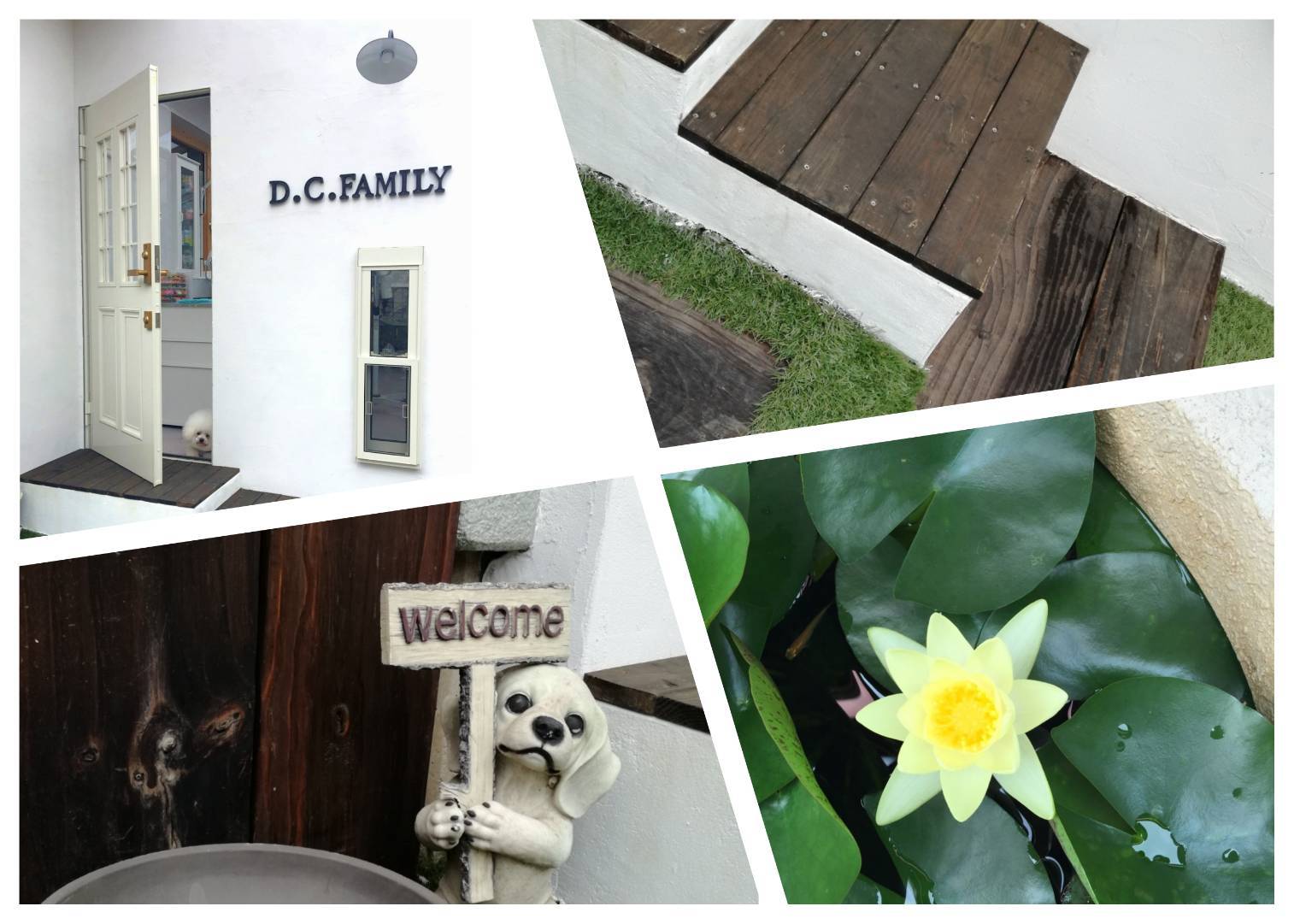 D.C. Familyの外観