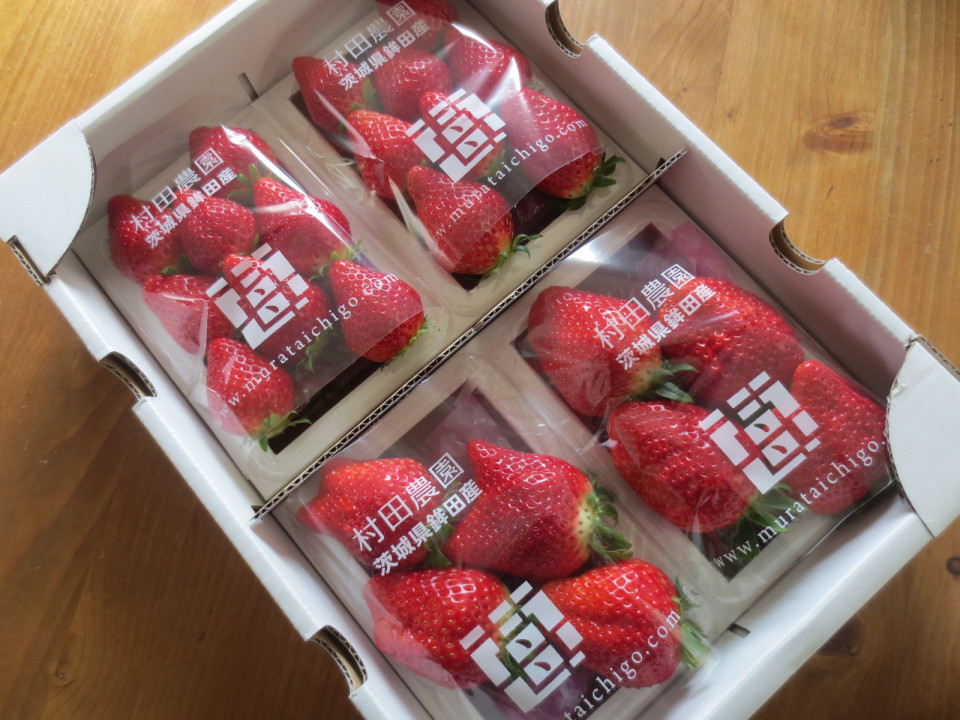 茨城のいちご食べ比べ 鉾田 大洗 いちご直売所 Family Photo Storage 1