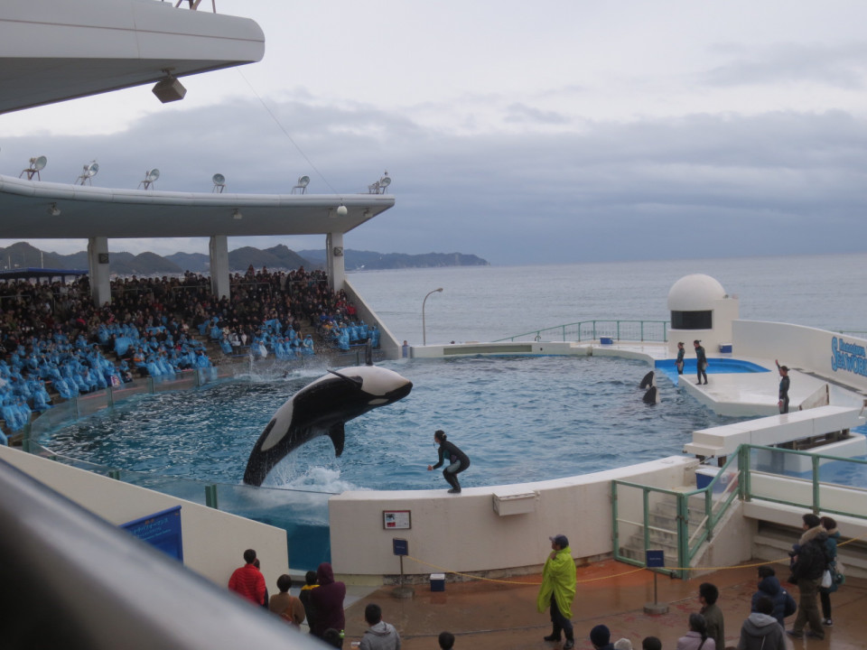 鴨川シーワールド 鴨川 水族館 Family Photo Storage 1