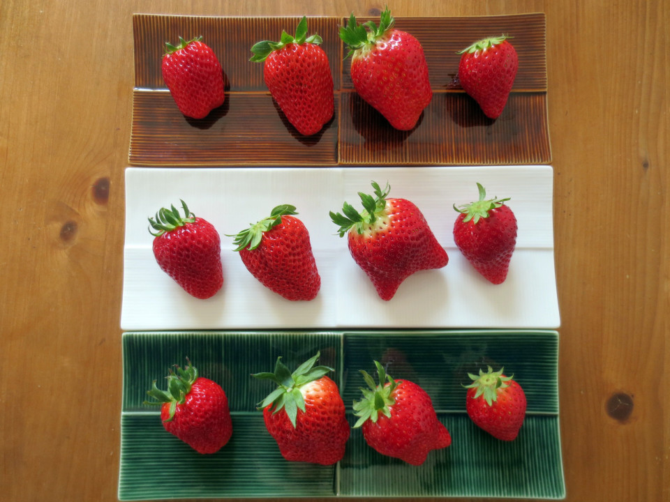 茨城のいちご食べ比べ 鉾田 大洗 いちご直売所 Family Photo Storage 1