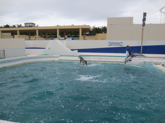 鴨川シーワールド 鴨川 水族館 Family Photo Storage 1