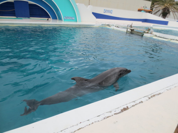 鴨川シーワールド 鴨川 水族館 Family Photo Storage 1