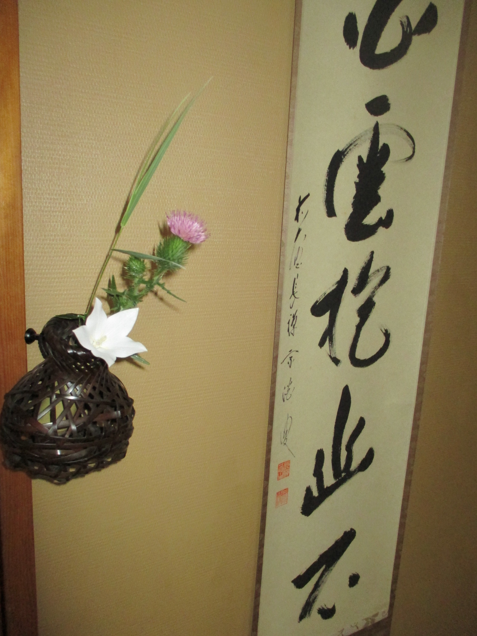 7月の稽古 大円草 | 裏千家 佐藤宗真茶道教室