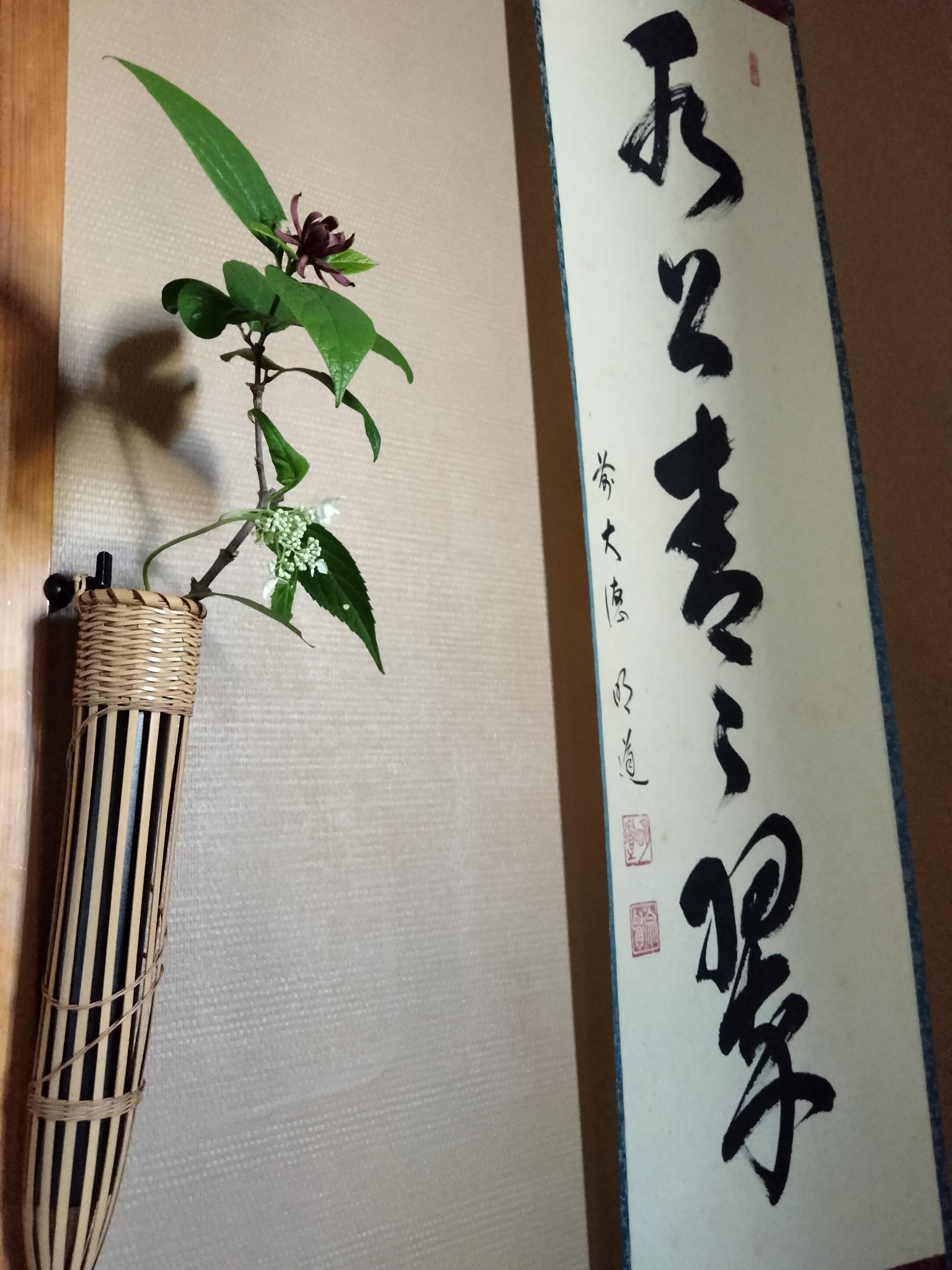 【茶道具】裏千家　千宗室筆　『飛石をぬらしてすきぬ初時雨』短冊53 茶道具】裏千家 千宗室筆 『飛石をぬらしてすきぬ初時雨』短冊53