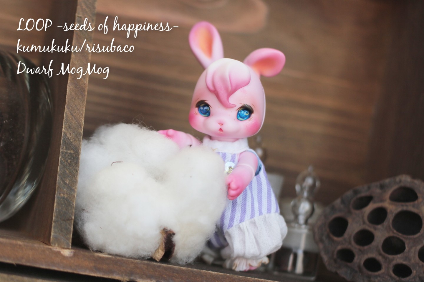Kumukuku個展(日本) LOOP -seeds of happiness- | Dwarf MogMog