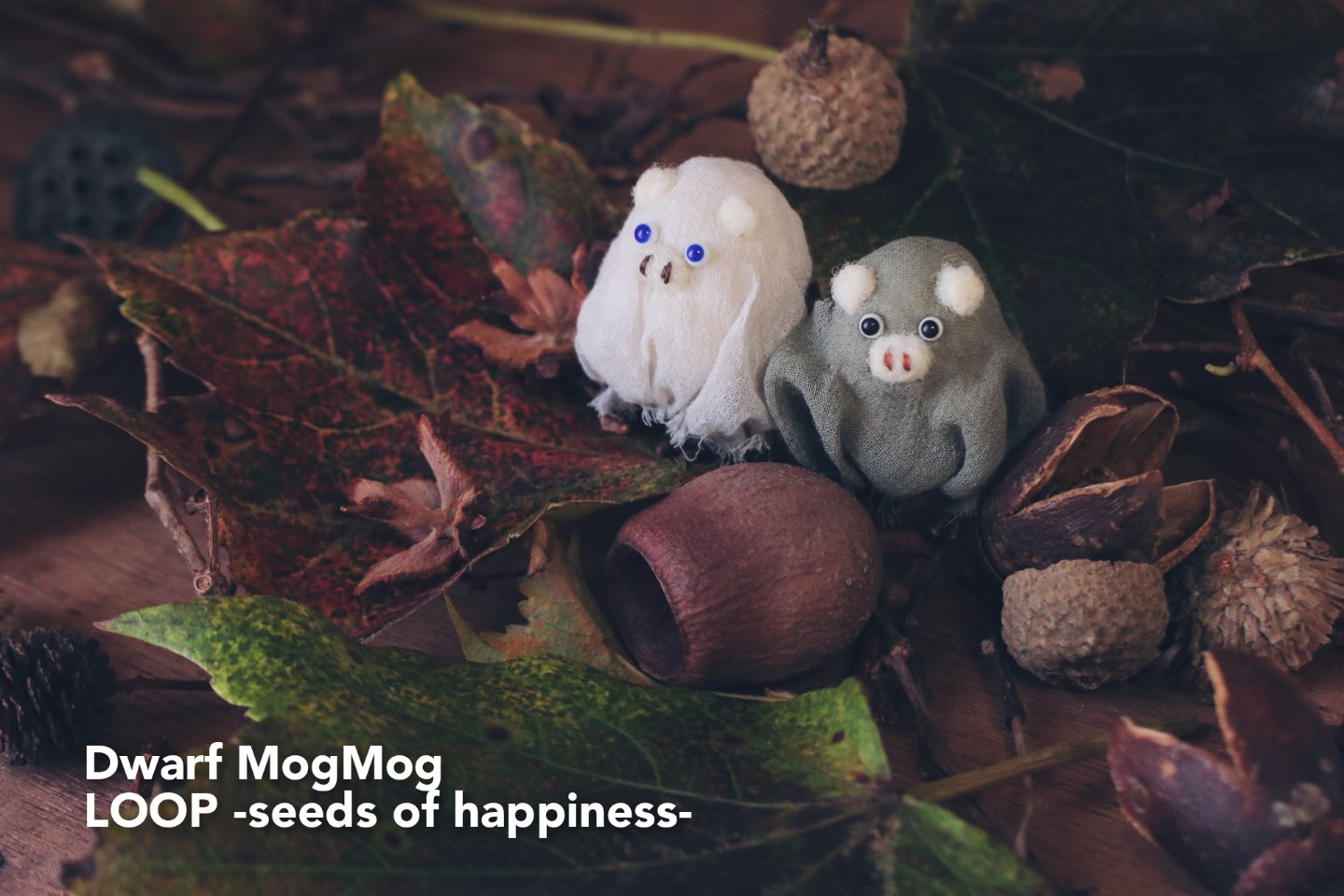Kumukuku個展(日本) LOOP -seeds of happiness- | Dwarf MogMog