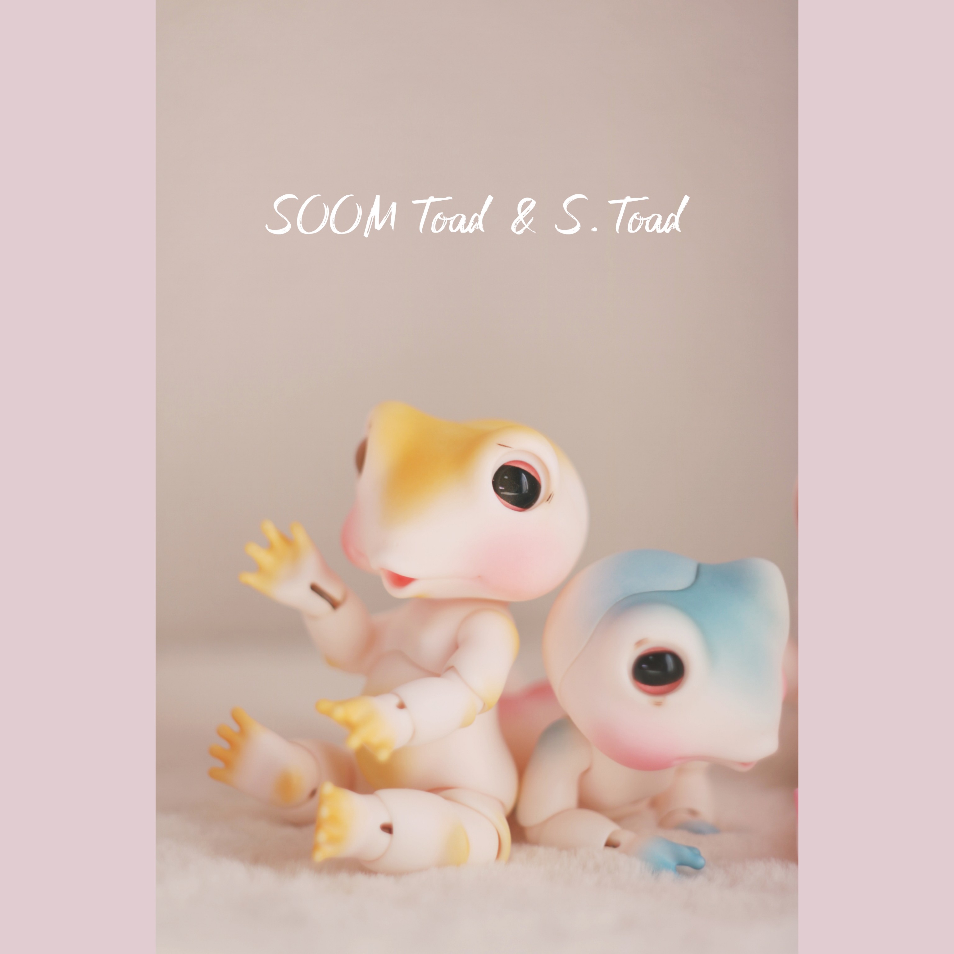 SOOM Toad ＆ Toad 🐸🐸🐸🐸🐸🐸🐸🐸 | Dwarf MogMog