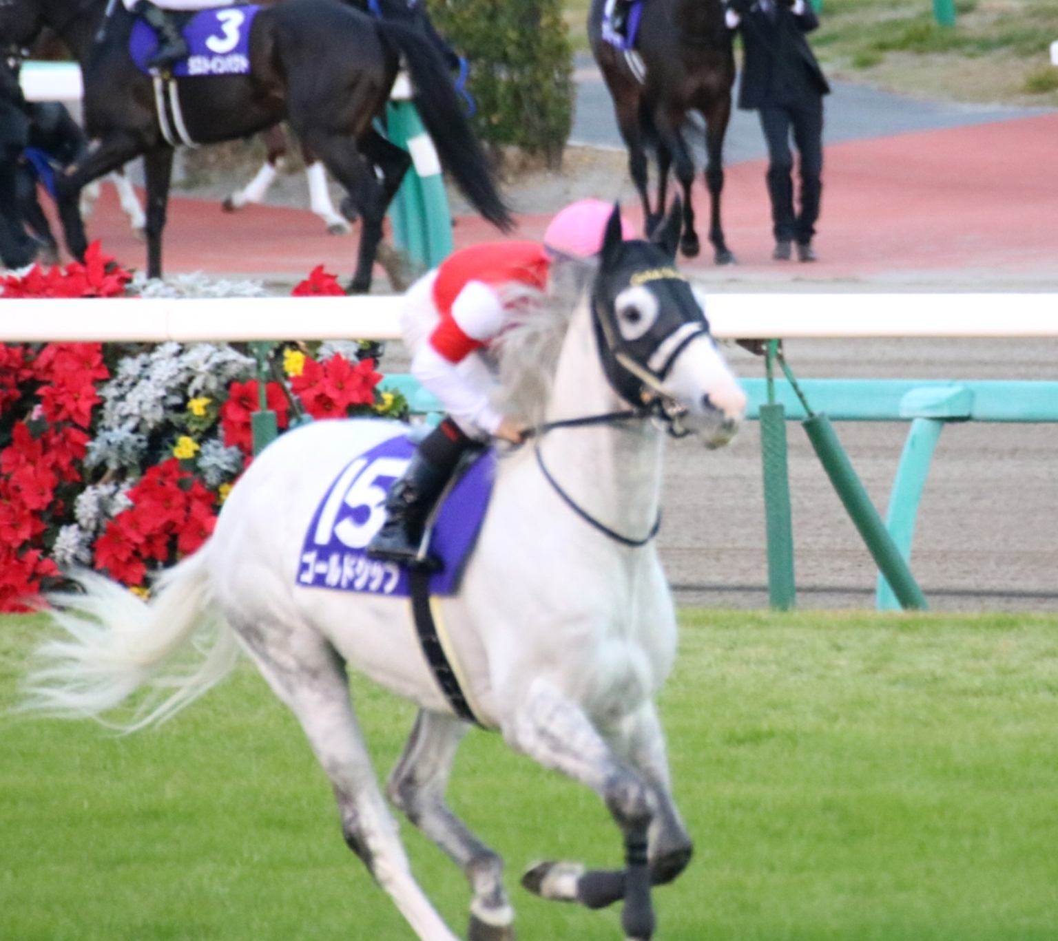 第60回有馬記念～ゴールドシップのラストラン～ | Dreaming to its lineage