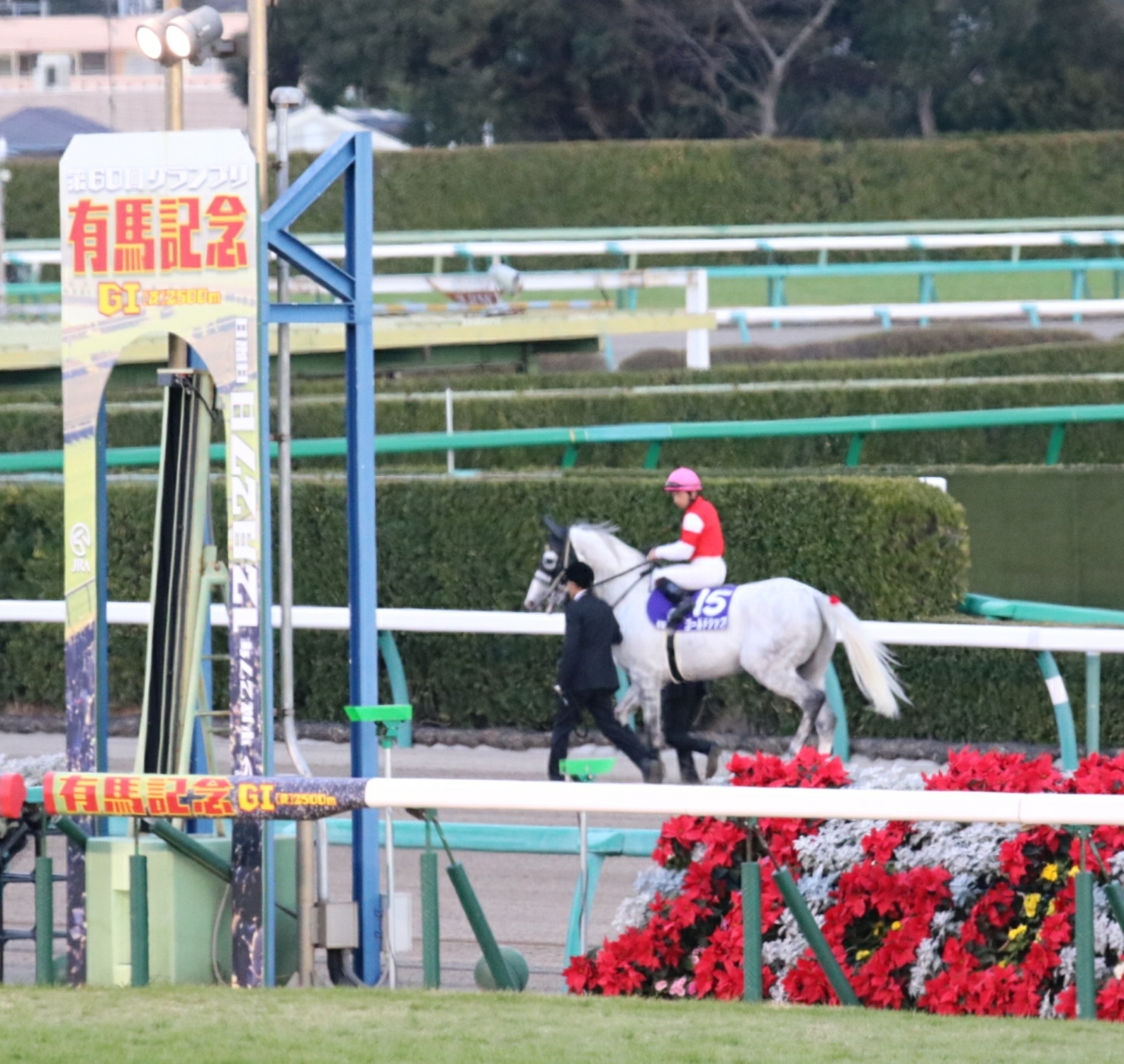 第60回有馬記念～ゴールドシップのラストラン～ | Dreaming to its lineage