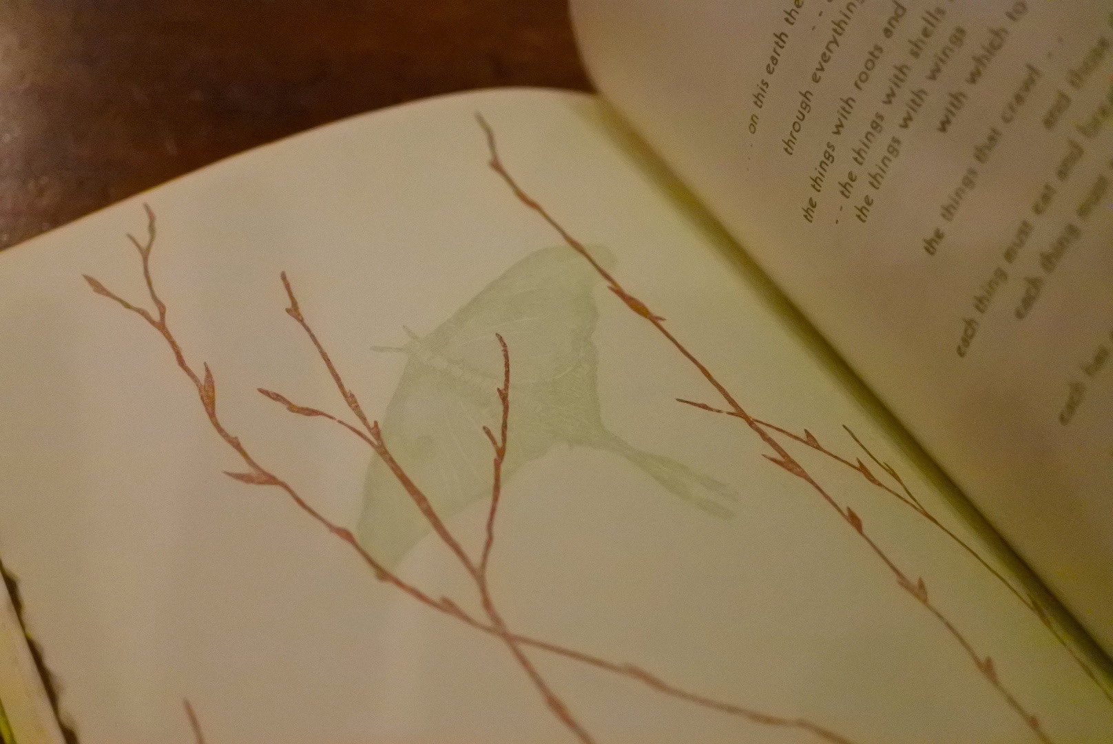 Gwen Frostic | Frobergue